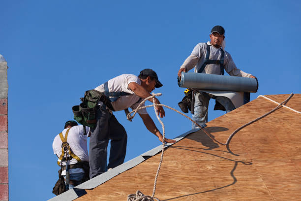 Best Roof Gutter Cleaning  in Roosevelt, NJ