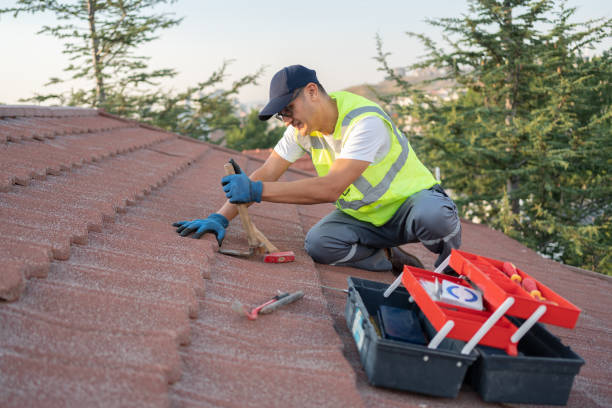 Best Shingle Roofing Installation  in Roosevelt, NJ