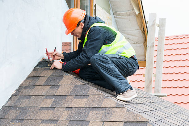 Best Roof Leak Repair  in Roosevelt, NJ