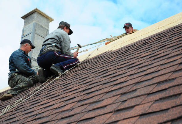 Best Metal Roofing Contractor  in Roosevelt, NJ