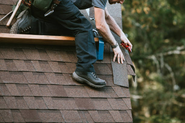 Best Shingle Roofing Installation  in Roosevelt, NJ